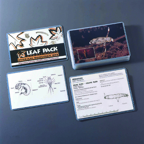 CARDS LEAF PACK SET/18 FLASHCARDS