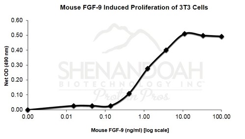 Mouse Recombinant FGF-9 (from <i>E. coli</i>)