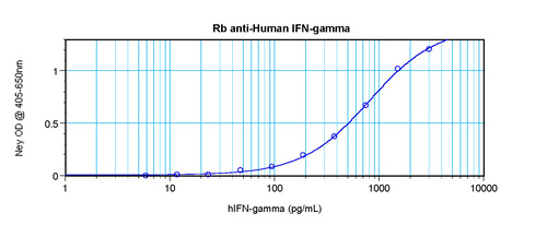 IFN-gamma Antibody