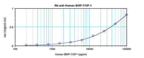 BMP-7 Antibody
