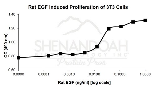 Rat Recombinant EGF (from <i>E. coli</i>)