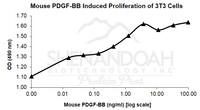 Mouse Recombinant PDGF-BB (from E. coli)