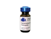 Anti-IgG Goat Polyclonal Antibody (HRP (Horseradish Peroxidase))