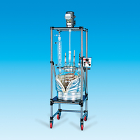 Unjacketed, Spherical Pilot Plant Reactor System, 200 L, Ace Glass Incorporated