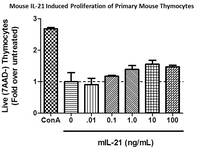 Mouse Recombinant IL-21 (from E. coli)