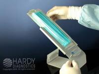 Copan Loop, Disposable, Rigid (hard) Plastic, Hardy Diagnostics