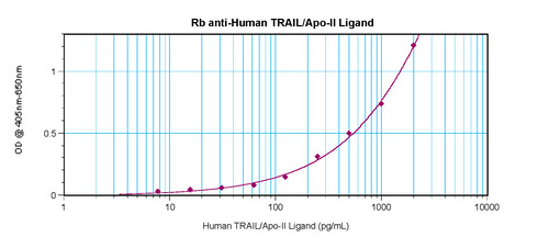 TRAIL Antibody