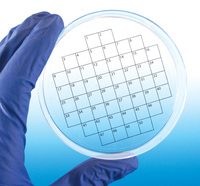 Petri Dish Labels, PetriStickers™, Diversified Biotech