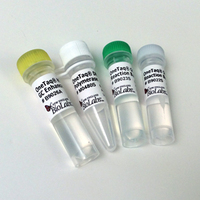 ONETAQ® DNA Polymerase, New England Biolabs