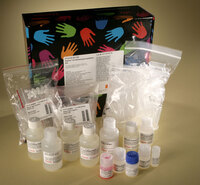 Pierce™ Co-Immunoprecipitation Kit, Thermo Scientific