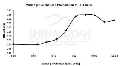 Mouse Recombinant NGF-beta (from <i>E. coli</i>)