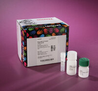 Human HRV 3C Protease Solution Kit, Pierce Chemical