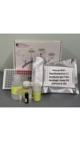Mouse Anti-Papillomavirus L1 Antibody IgG Titer Serologic Assay Kit (HPV16 & 18)