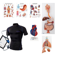 3B Scientific® Intro to Wearable Auscultation and Standardized Patient Lab