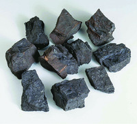 Ward's® Coal (Lignite)