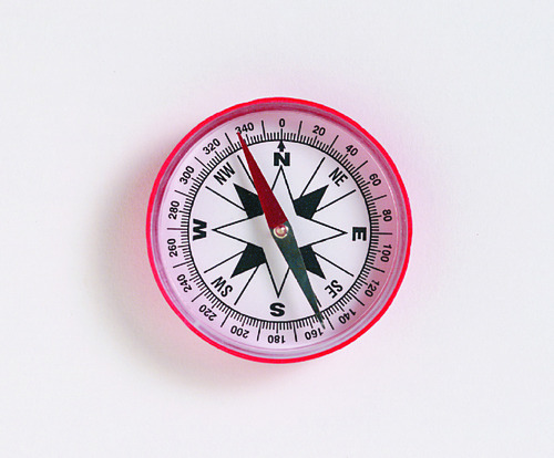 COMPASS LARGE