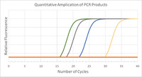 miniPCR® P51™ qPCR Lab: Principles of Quantitative PCR