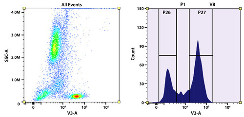 Anti-CD5 Mouse Monoclonal Antibody (mFluor™ Violet) [clone: UCHT2]