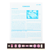 Cancer Microslide