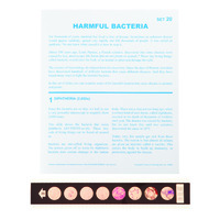 Harmful Bacteria Microslide