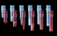 Axygen® Screw Top Microcentrifuge Tubes without Caps, Polypropylene, Corning