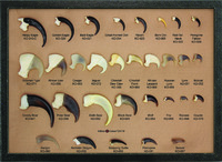 BoneClones® Claws Comparison Riker Mount