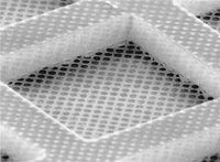 QUANTIFOIL® R 1.2 Holey Carbon Films on Grids, Electron Microscopy Sciences