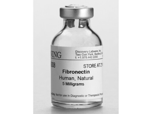 Fibronectin