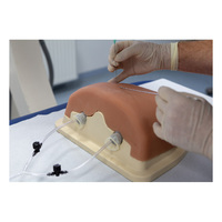 3B Scientific® Image Guided Thoracic Injection Trainer