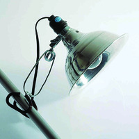 Clamp Lamp with Reflector