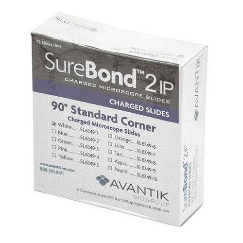SureBond™ 2 IP Paint Microscope Slides, Avantik