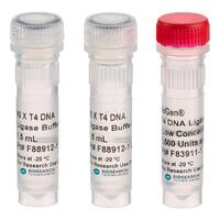 NxGen™ T4 DNA Ligase, Biosearch Technologies