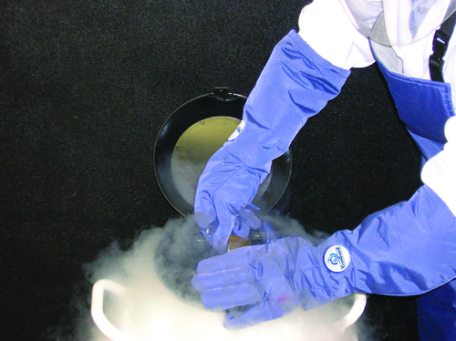Cryogenic Glove, Water Resistant, Elbow Length, Size: Medium
