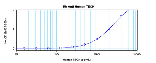 TECK Antibody