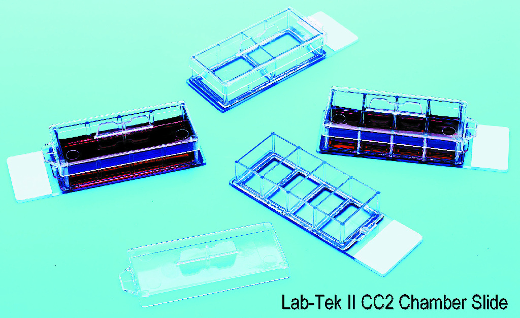 LabTek® II Chamber Slide™ System, Electron Microscopy Sciences