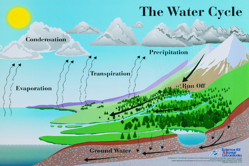 POSTER WATER CYCLE TD/CT 24X36