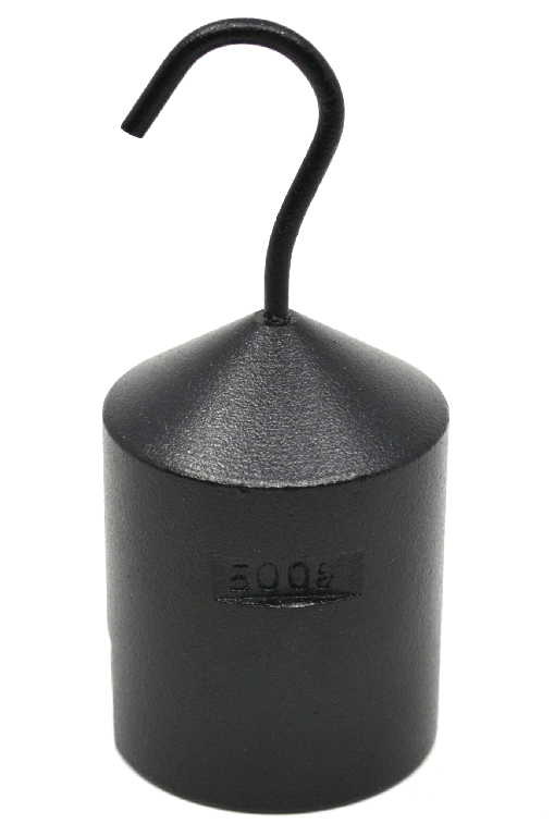 Eisco® Hooked Weights, Iron Calibration Weights