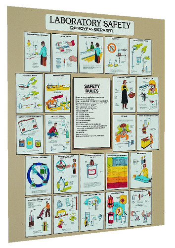 Laboratory Safety Chart | Charts