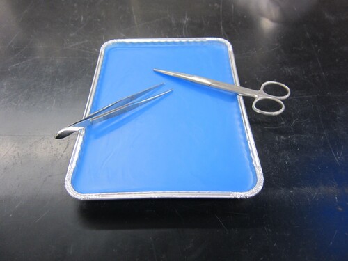 Thermal Drape Blue Wax Dissection Tray Non-Toxic And Enviromently Friendly, 9 X 6.5in