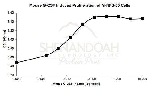 Mouse Recombinant G-CSF (from <i>E. coli</i>)