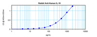 Anti-IL10 Rabbit Polyclonal Antibody
