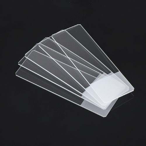 Single Frosted Microscope Slides