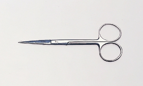 Straight Delicate Dissecting Scissors