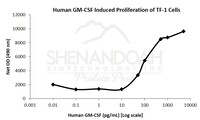 Human Recombinant GM-CSF (from E. coli)