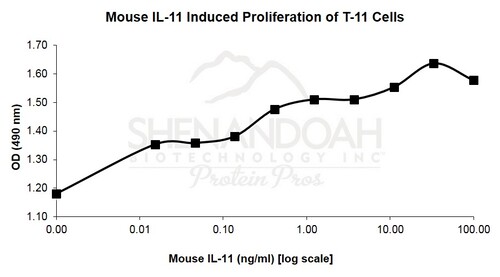 Mouse Recombinant IL-11 (from <i>E. coli</i>)