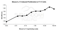 Mouse Recombinant IL-11 (from E. coli)