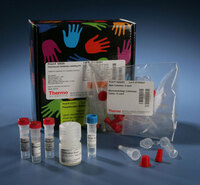 Pierce™ NHS-Fluorescein Antibody Labeling Kit, Thermo Scientific