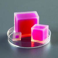 Ward's® Prepared Agar Cubes