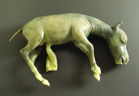 Ward's® Preserved Horse Fetus