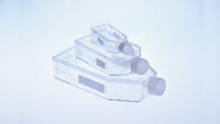 CELLSTAR© Suspension Culture Flasks, Screw Cap, Hydrophobic Surface, Sterile, Greiner Bio-One